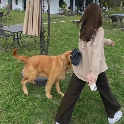 令人讨厌的松子的一生