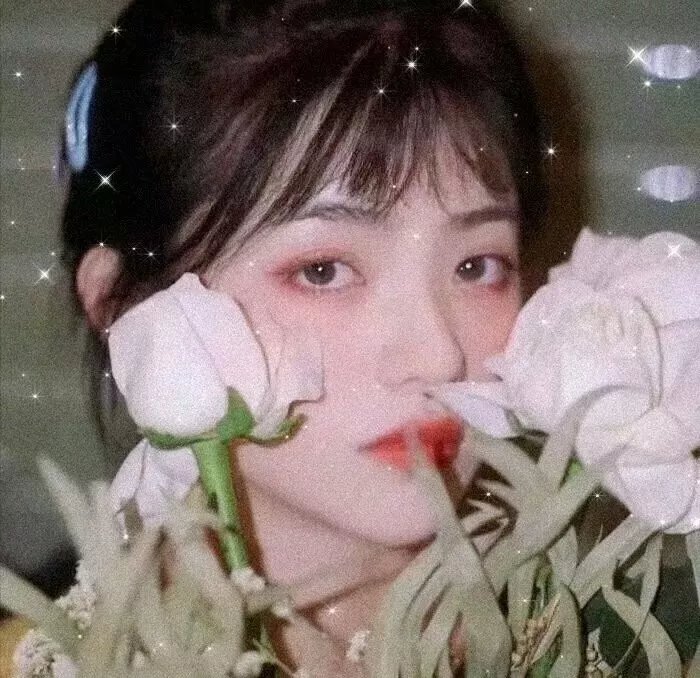 山巅的呼唤